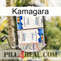 Kamagara kamagra1